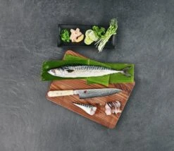 Miyabi By Zwilling 5000MCD Gyutoh, 34373-241 -Knives And Tools Comercio 5000MCD1