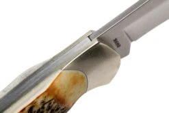 Böker Junior Scout 111910 Stag, Navaja -Knives And Tools Comercio BO111910 06 boker