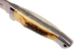 Böker Vollintegral 2.0 Cuerno De Venado 121586 Cuchillo De Caza 15 Böker Vollintegral 2.0 Cuerno De Venado 121586 Cuchillo De Caza -Knives And Tools Comercio BO121586 05 boker bo121586 05