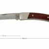 Buck 501 Squire 0501RWS-B, Palisandro, Con Funda -Knives And Tools Comercio BUCK0501RWS B 01 buck 501 squire knife buck0501rws b 01