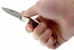 Buck 501 Squire 0501RWS-B, Palisandro, Con Funda 13 Buck 501 Squire 0501RWS-B, Palisandro, Con Funda -Knives And Tools Comercio BUCK0501RWS B 05 buck 501 squire knife buck0501rws b 05