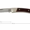 Buck 503 Prince 0503RWS-B, Palisandro 1 Buck 503 Prince 0503RWS-B, Palisandro -Knives And Tools Comercio BUCK0503RWS B 01 buck 503 prince knife buck0503rws b 01