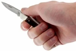 Buck 503 Prince 0503RWS-B, Palisandro 11 Buck 503 Prince 0503RWS-B, Palisandro -Knives And Tools Comercio BUCK0503RWS B 05 buck 503 prince knife buck0503rws b 05