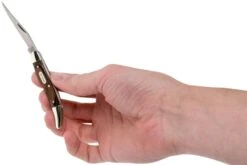 Buck Toothpick 385BRS Navaja Slipjoint -Knives And Tools Comercio BUCK385BRS 07 buck