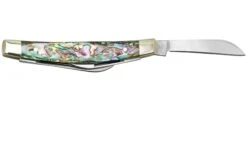 Case Small Congress 12026 Smooth Abalone, Navaja Con Velvet Box 9 Case Small Congress 12026 Smooth Abalone, Navaja Con Velvet Box -Knives And Tools Comercio CE12026 02 case