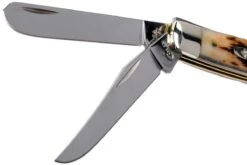 Case Mini Trapper Amber Jigged Bone, 00013, 6207 SS Navaja -Knives And Tools Comercio CE13 04 case ce13 04