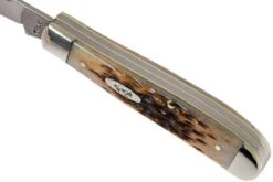 Case Mini Trapper Amber Jigged Bone, 00013, 6207 SS Navaja -Knives And Tools Comercio CE13 08 case ce13 08