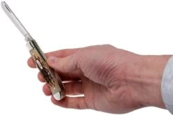 Case Mini Trapper Amber Jigged Bone, 00013, 6207 SS Navaja -Knives And Tools Comercio CE13 09 case ce13 09