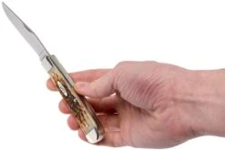 Case Trapper Amber Jigged Bone, 00164, 6254 SS Navaja -Knives And Tools Comercio CE164 09 case ce164 09