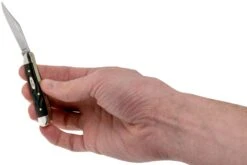 Case Peanut Rough Black Synthetic, 18225, 6220 SS Navaja 11 Case Peanut Rough Black Synthetic, 18225, 6220 SS Navaja -Knives And Tools Comercio CE18225 05 case