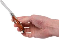 Case Mini Trapper Smooth Chestnut Bone, 28700, 6207 SS Navaja -Knives And Tools Comercio CE28700 09 case ce28700 09