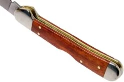 Case Mini Copperlock Smooth Chestnut Bone, 28704, 61749L SS Navaja -Knives And Tools Comercio CE28704 05 case ce28704 05