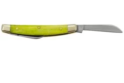 Case Small Congress 53032 Green Apple Bone, Navaja -Knives And Tools Comercio CE53032 02 case