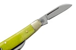 Case Small Congress 53032 Green Apple Bone, Navaja -Knives And Tools Comercio CE53032 04 case