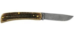 Case Sod Buser Jr 77461 Damascus Vintage Bone, Navaja 9 Case Sod Buser Jr 77461 Damascus Vintage Bone, Navaja -Knives And Tools Comercio CE77461 02 case