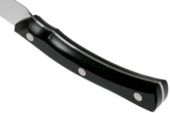 Due Cigni Arne Line Cuchillo Para Pelar 10 Cm, Negro 11 Due Cigni Arne Line Cuchillo Para Pelar 10 Cm, Negro -Knives And Tools Comercio DG2C901 04 due cigni arne