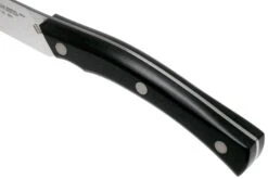 Due Cigni Arne Line Cuchillo Para Pelar 10 Cm, Negro 12 Due Cigni Arne Line Cuchillo Para Pelar 10 Cm, Negro -Knives And Tools Comercio DG2C901 05 due cigni arne