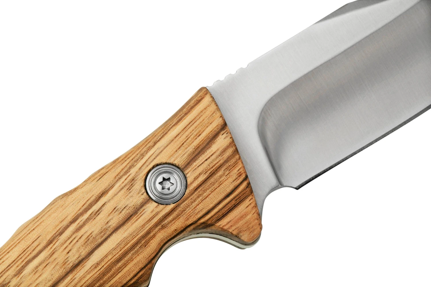 Fox Knives Black Fox Clip Point BF-133ZW Zebrawood Cuchillo De Caza 7 Fox Knives Black Fox Clip Point BF-133ZW Zebrawood Cuchillo De Caza - Imagen 5