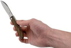 Fox Knives Livri FX-273ZW Zircote Navaja Slipjoint -Knives And Tools Comercio FOFX 273ZW 08 fox knives