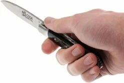 Fontenille Pataud 5 Coqs, Cuerno De Búfalo Crudo, 5CBB -Knives And Tools Comercio FP5CBB 07 fontenille pataud 5 coqs fp5cbb 07