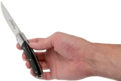 Le Thiers Pocket Cuerno De Búfalo Crudo T8BB Navaja Por Fontenille Pataud -Knives And Tools Comercio FPT8BB 08 fontenille pataud