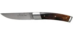 Le Thiers Pocket Desert Ironwood T8BF Navaja Por Fontenille Pataud