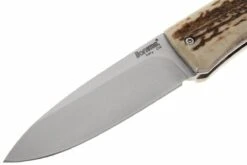 LionSteel Opera 8800 CE -Knives And Tools Comercio LI 8800 CE 02 lionsteel opera li 8800 ce d2