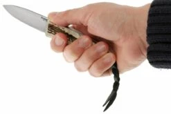 LionSteel Opera 8800 CE -Knives And Tools Comercio LI 8800 CE 07 lionsteel opera li 8800 ce d8