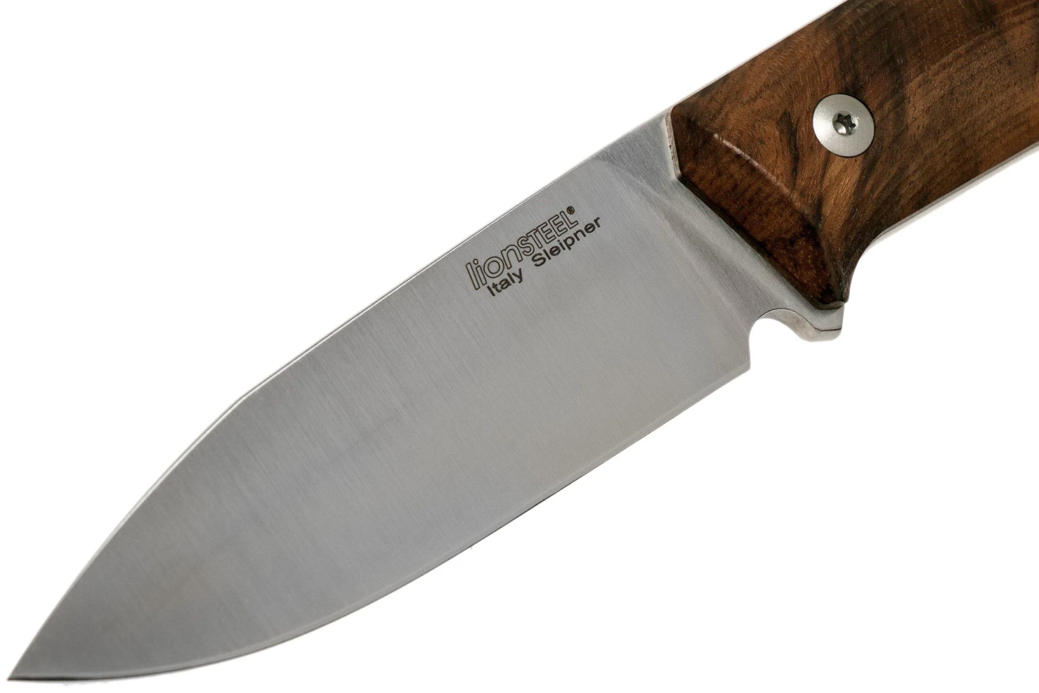 LionSteel B35 WN Walnut Cuchillo Bushcraft 5 LionSteel B35 WN Walnut Cuchillo Bushcraft - Imagen 3