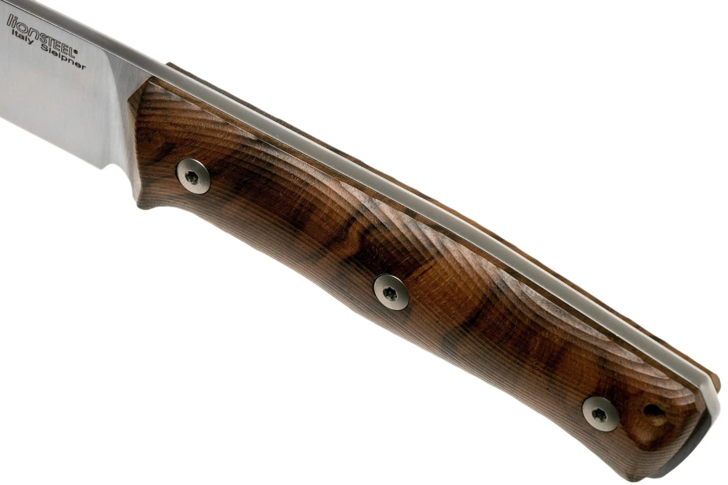 LionSteel B35 WN Walnut Cuchillo Bushcraft 7 LionSteel B35 WN Walnut Cuchillo Bushcraft - Imagen 5