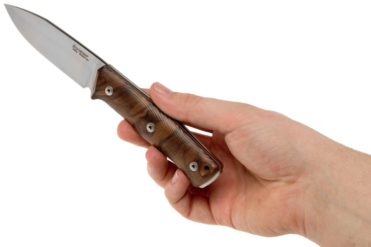 LionSteel B35 WN Walnut Cuchillo Bushcraft 8 LionSteel B35 WN Walnut Cuchillo Bushcraft - Imagen 6