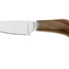 LionSteel Willy WL1-ST, M390 Droppoint Santos Wood, Cuchillo Fijo 1 LionSteel Willy WL1-ST, M390 Droppoint Santos Wood, Cuchillo Fijo -Knives And Tools Comercio LI WL1 ST 01 lionsteel