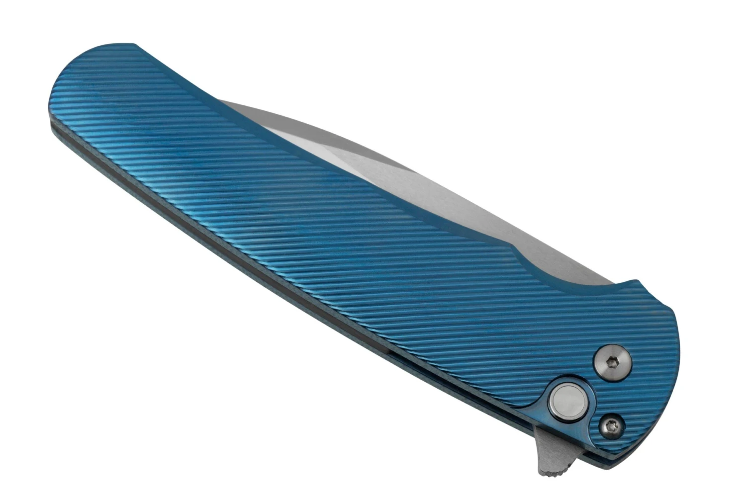 Pro-Tech Malibu Mike Irie Custom 2023, Blue Titanium Handle, Gold Lip Pearl Button, Wharncliffe Blade, Navaja 8 Pro-Tech Malibu Mike Irie Custom 2023, Blue Titanium Handle, Gold Lip Pearl Button, Wharncliffe Blade, Navaja - Imagen 6