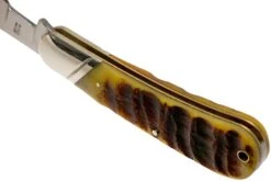 Rough Ryder Ram’s Horn Bone Cotton Sampler RR1594 Navaja -Knives And Tools Comercio RY1594 05 rough ryder