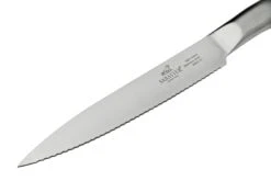 Lion Sabatier International Mon Bloc III, 662680 Bloque De Cuchillos Con Cuatro Cuchillos -Knives And Tools Comercio SA662680 07 lionsabatier