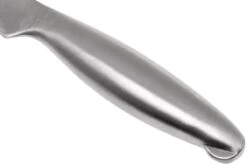 Lion Sabatier Fuso Nitro+ Cuchillo Puntilla 10 Cm, 746182 -Knives And Tools Comercio SA746182 04 lion sabatier fuso sa746182 04