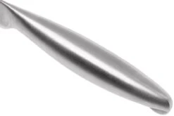 Lion Sabatier Fuso Nitro+ Cuchillo Puntilla 10 Cm, 746182 -Knives And Tools Comercio SA746182 05 lion sabatier fuso sa746182 05