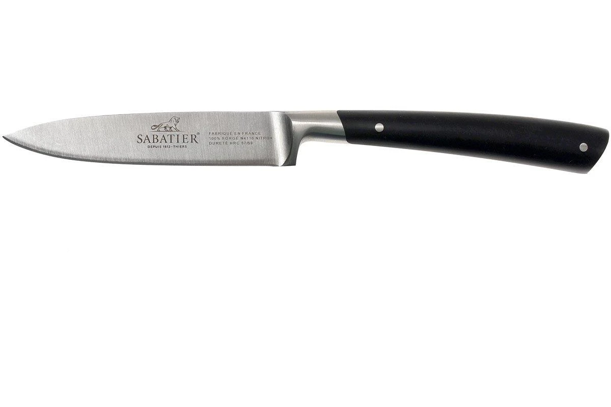 Lion Sabatier Edonist Cuchillo Puntilla 10 Cm, 806380 3 Lion Sabatier Edonist Cuchillo Puntilla 10 Cm, 806380
