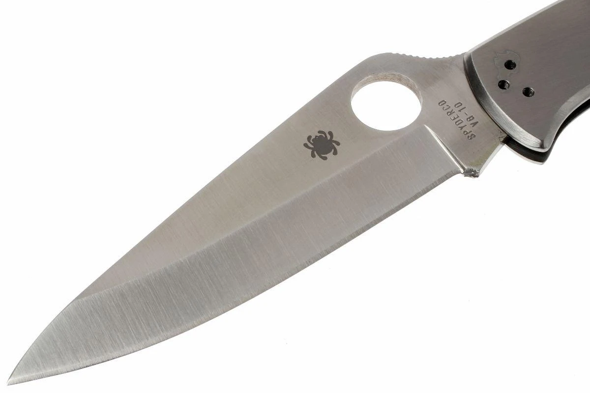 Spyderco C10 Endura 4, Plain Edge 4 Spyderco C10 Endura 4, Plain Edge - Imagen 2