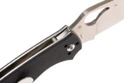 Spyderco Byrd Raven 2 G-10 Plain Edge 15 Spyderco Byrd Raven 2 G-10 Plain Edge -Knives And Tools Comercio SPBY08GP2 06 spyderco byrd raven 2 spby08gp2 06