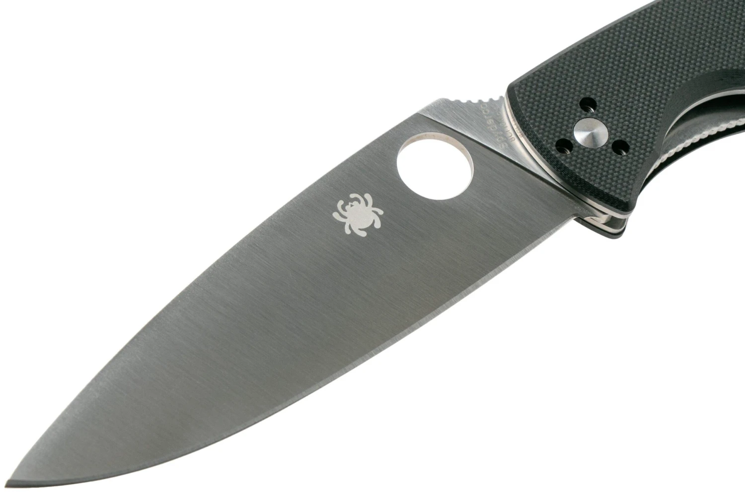 Spyderco Resilience 5 Spyderco Resilience - Imagen 3