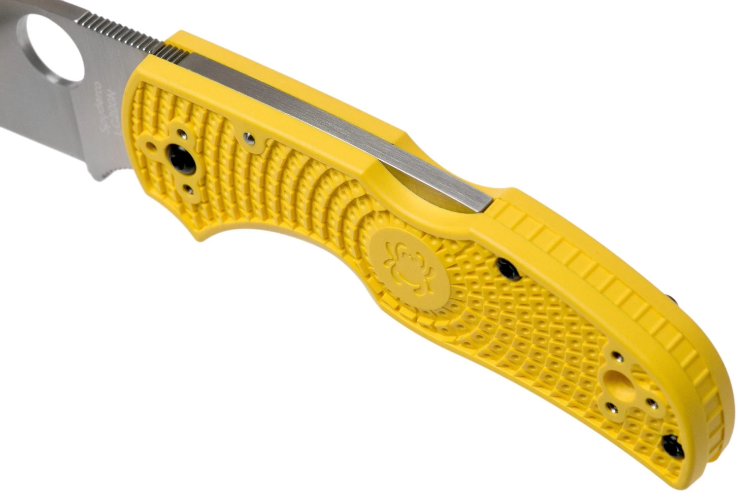 Spyderco Native 5 Salt C41PYL5 Navaja 9 Spyderco Native 5 Salt C41PYL5 Navaja - Imagen 7