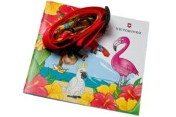 Victorinox My First Victorinox, Parrot Edition 0.2373.E3 Navaja Para Niños -Knives And Tools Comercio VT0 2373 E3 06 victorinox