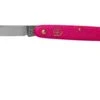 Victorinox Cuchillo Para Flores 3.9050.53B1 Rosa 1 Victorinox Cuchillo Para Flores 3.9050.53B1 Rosa -Knives And Tools Comercio VT3 9050 53B1 01 victorinox