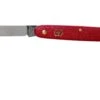 Victorinox Cuchillo Para Flores 3.9050.B1 Rojo