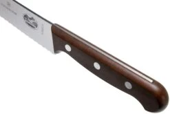 Victorinox Wood 5.2930.22G Cuchillo Para Pan/pastelería 22 Cm, Madera De Arce 11 Victorinox Wood 5.2930.22G Cuchillo Para Pan/pastelería 22 Cm, Madera De Arce -Knives And Tools Comercio VT5 2930 22G 05 victorinox