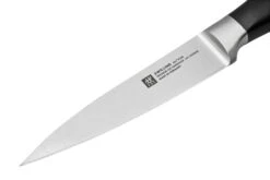 Zwilling All Star 1022780, Juego De 2 Cuchillos, Santoku Y Puntilla, Plata -Knives And Tools Comercio ZW1022780 04 zwilling