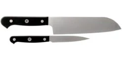 Zwilling Gourmet Juego De Cuchillos 2-unidades, 36130-002 -Knives And Tools Comercio ZW36130 002 0 02 zwilling gourmet zw36130 002 0 02
